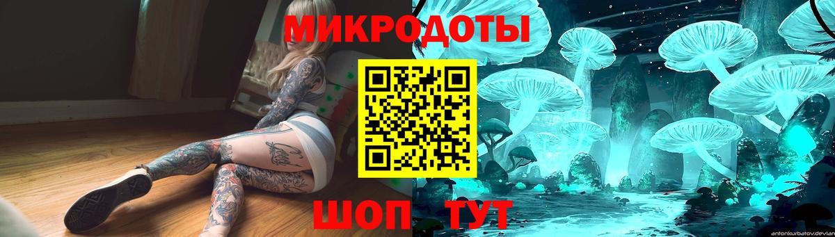 Галлюциногенные грибы Psilocybe  Вход с VPN  Тайшет 