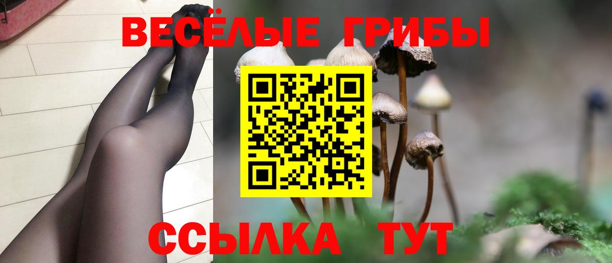Галлюциногенные грибы MAGIC MUSHROOMS Тайшет